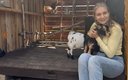 «Барские поля» база отдыха