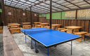 Настольный теннис