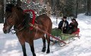 Катание на санях