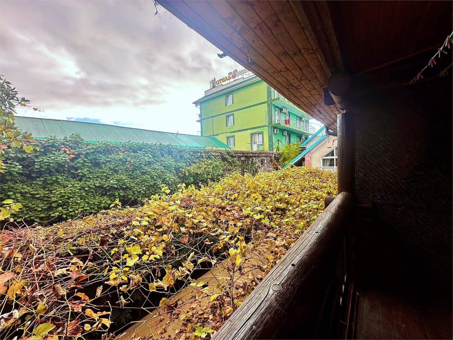 Студио 2-местный (с кухней)