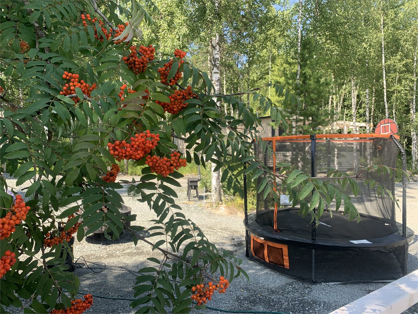 Территория