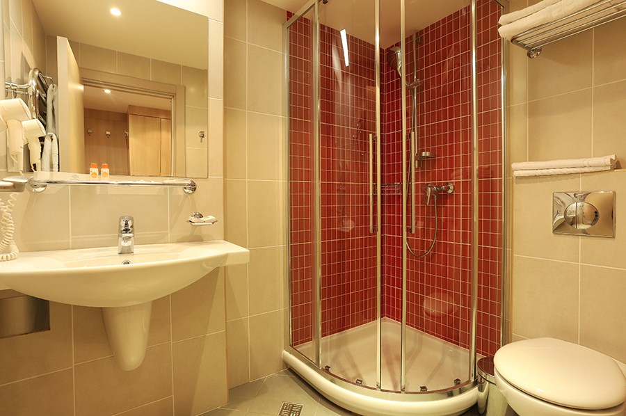 Стандартный 2-местный 1-комнатный (TWIN)