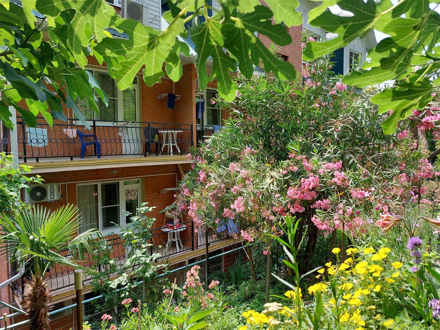 Номер 1-местный 1-комнатный (с балконом)