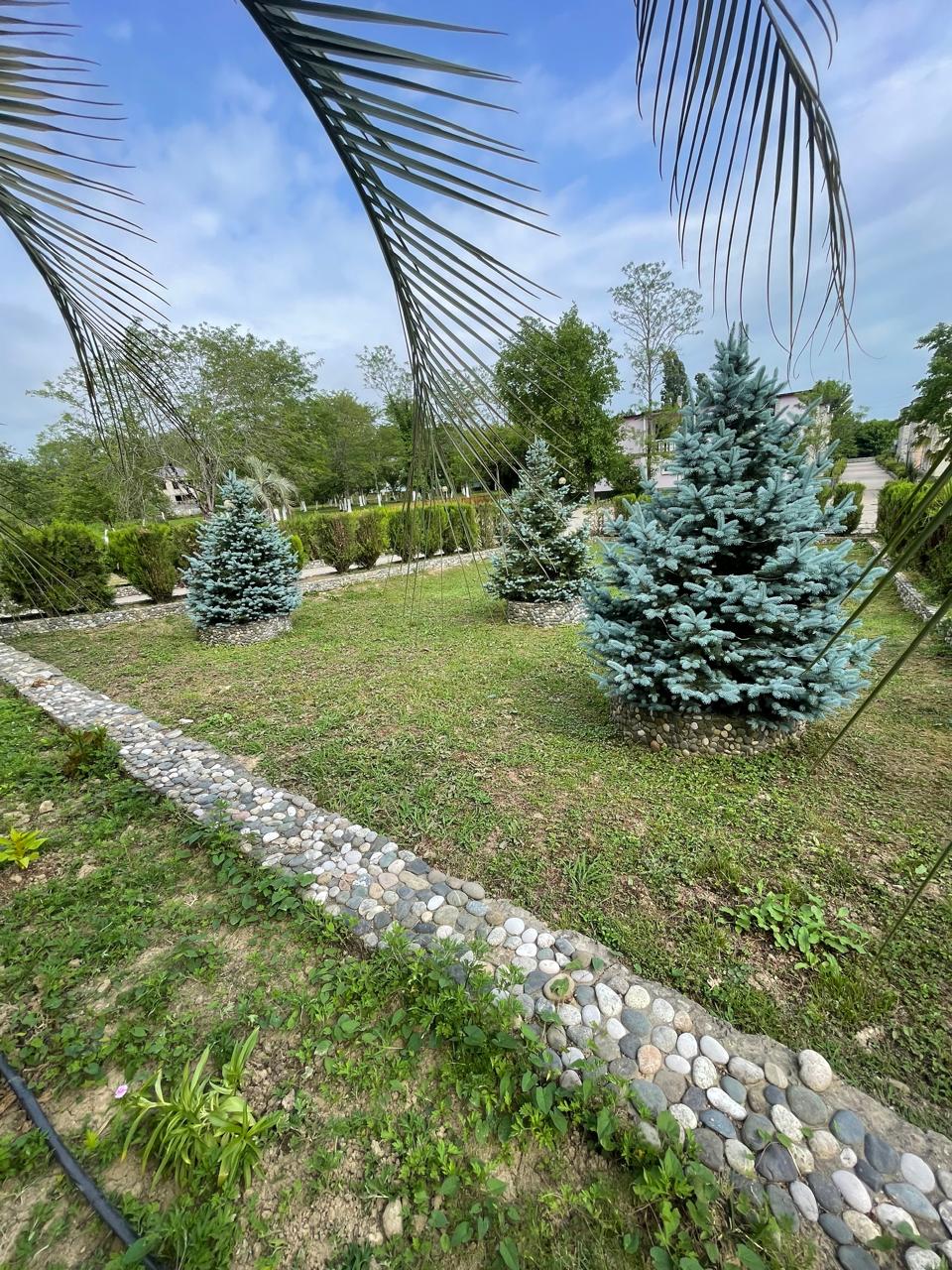 Звандрипш Эко Village