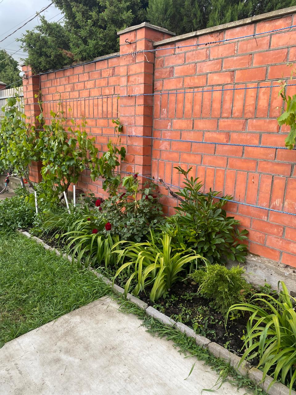 Фото 6