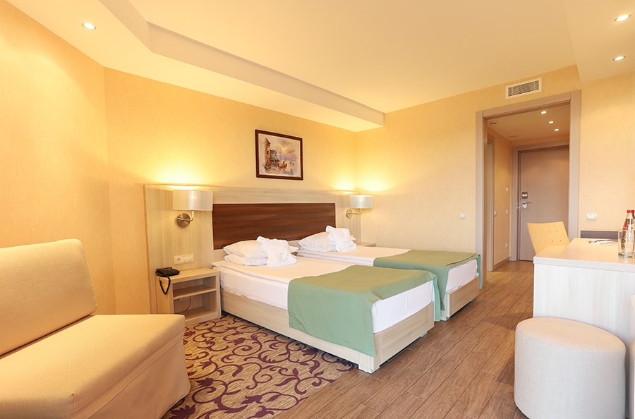 Стандартный 2-местный 1-комнатный (TWIN)