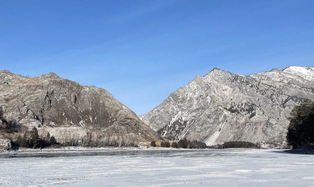 Айвенго (Алтай)