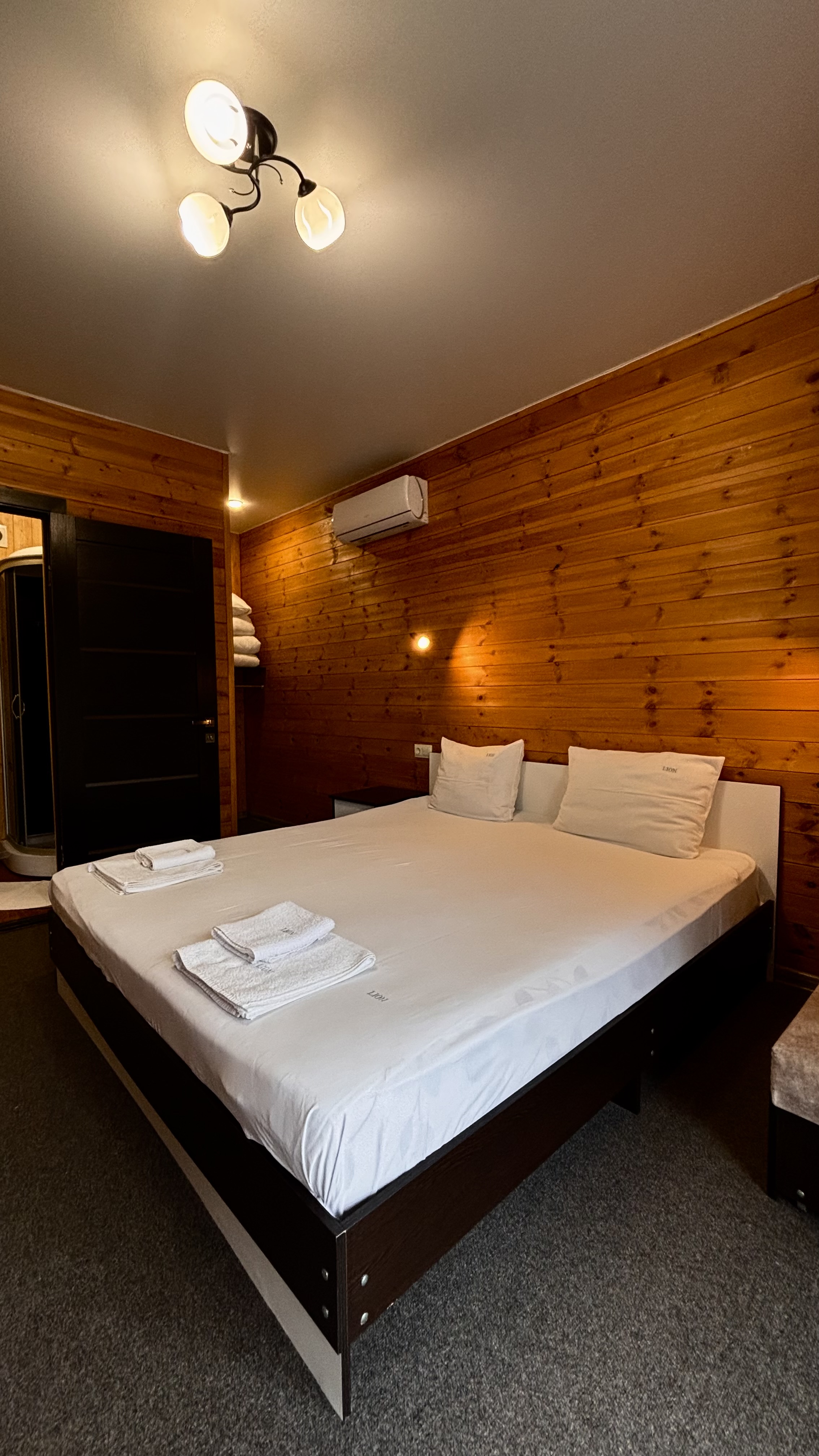 Lion(Алахадзы)