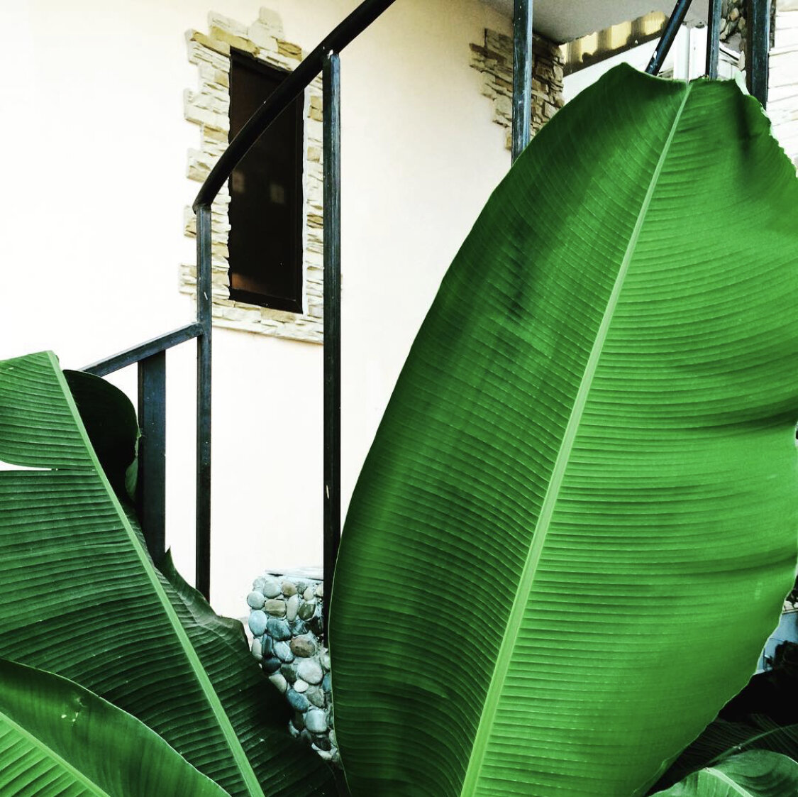 Фото 3
