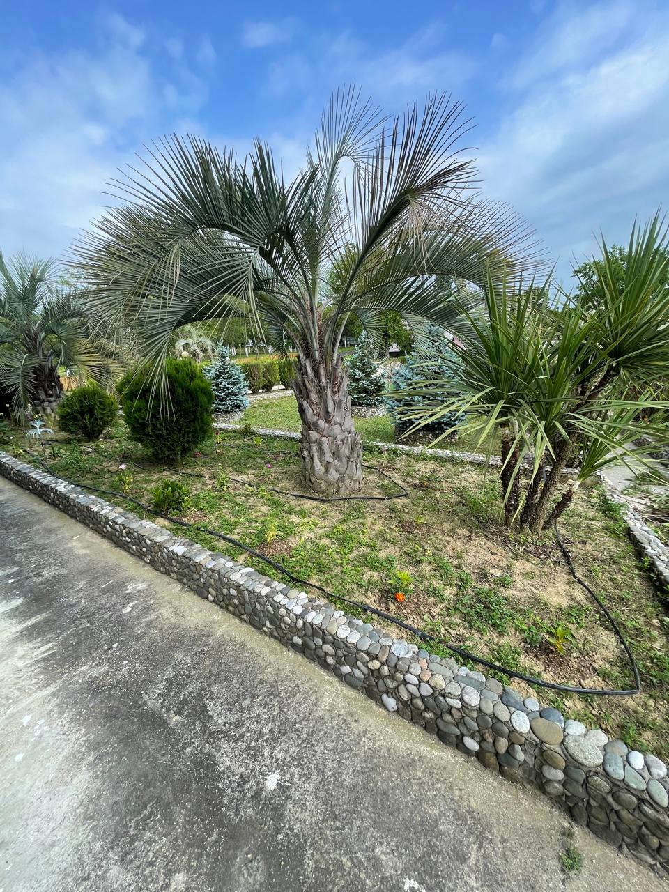 Звандрипш Эко Village