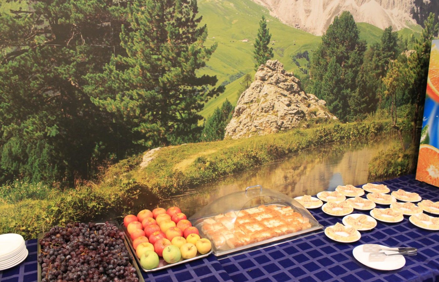 Зал Гостиная у камина (шведская линия)