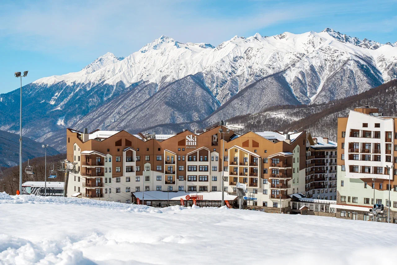 Внешний вид