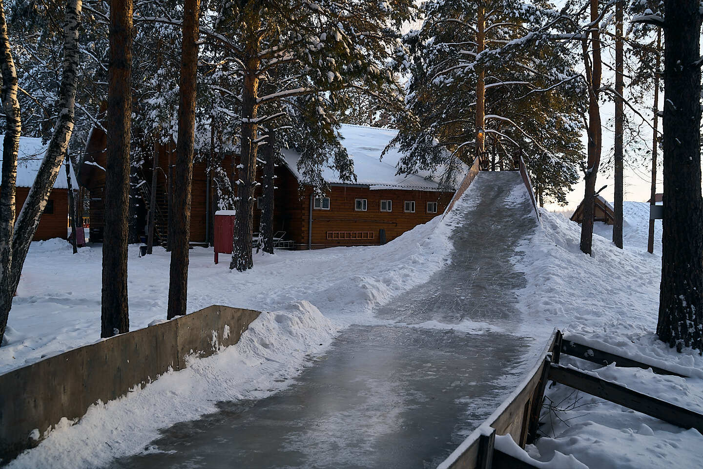 Пруд Лесной