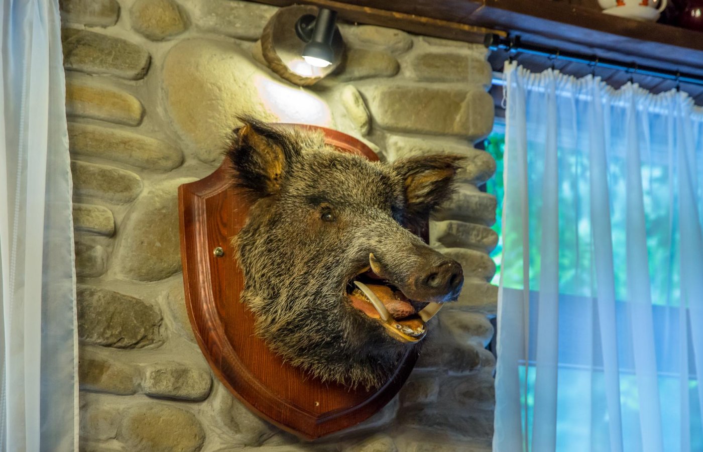 Гостиная у ручья