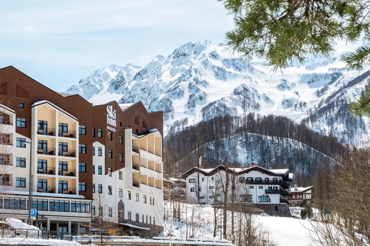 Внешний вид