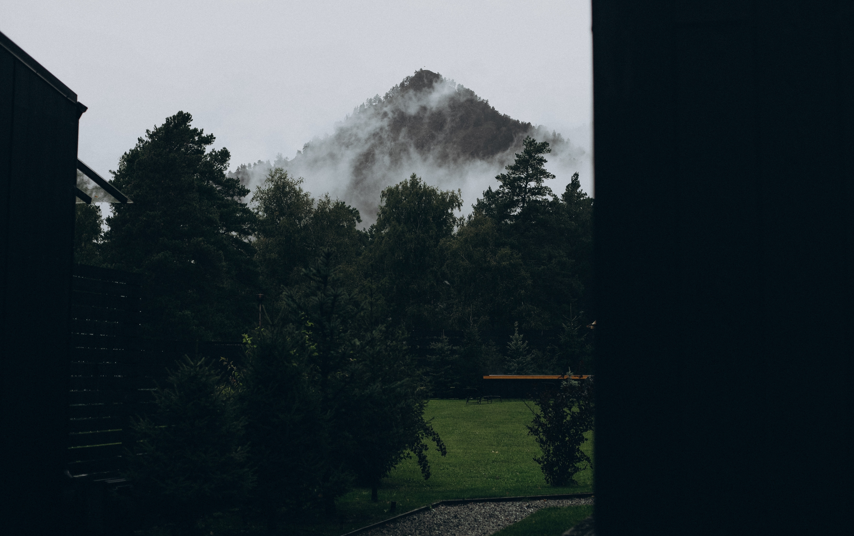 Альпака