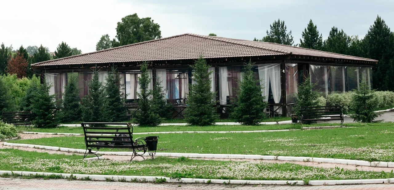 Шишка (Новосибирск)