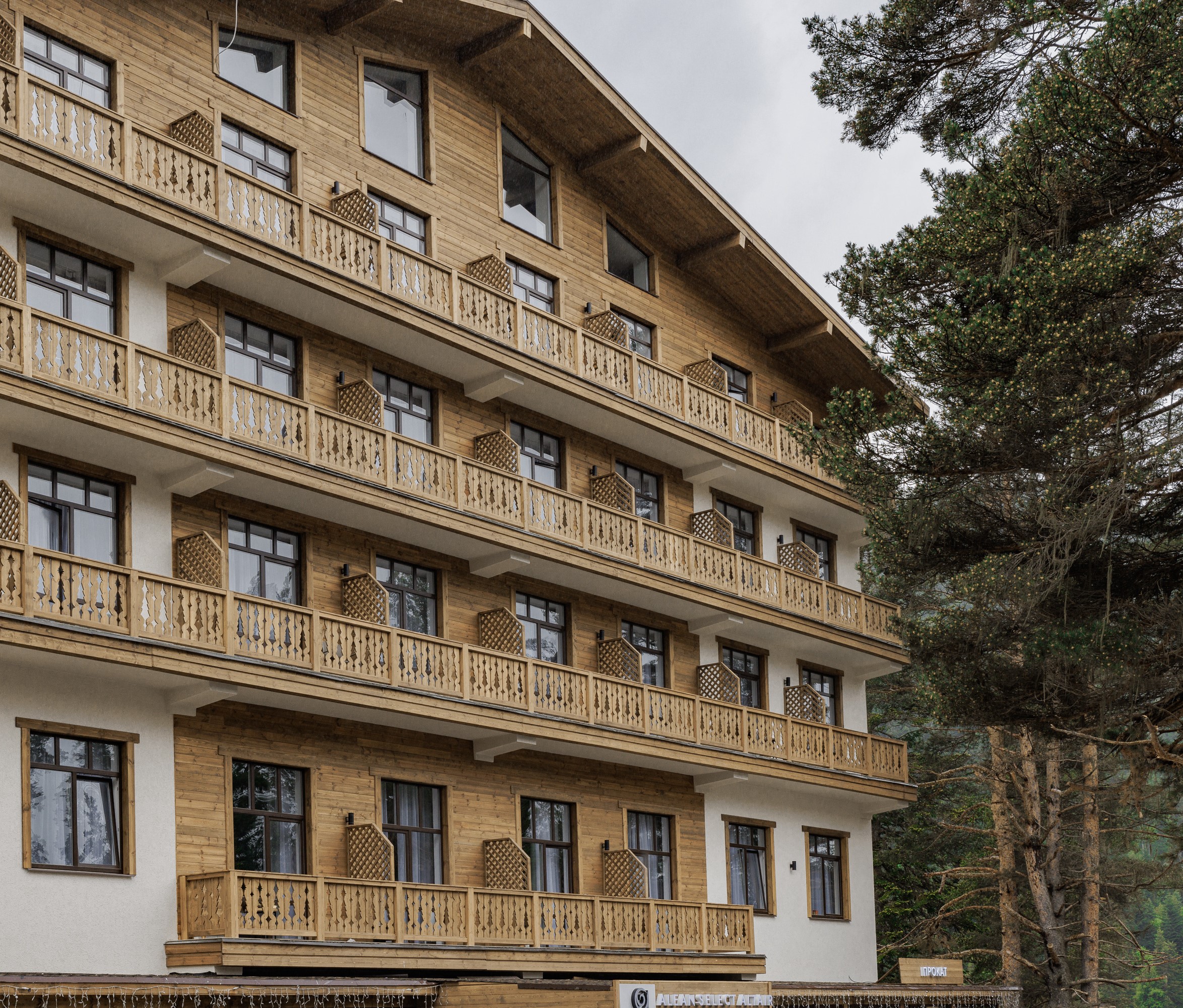 Внешний вид