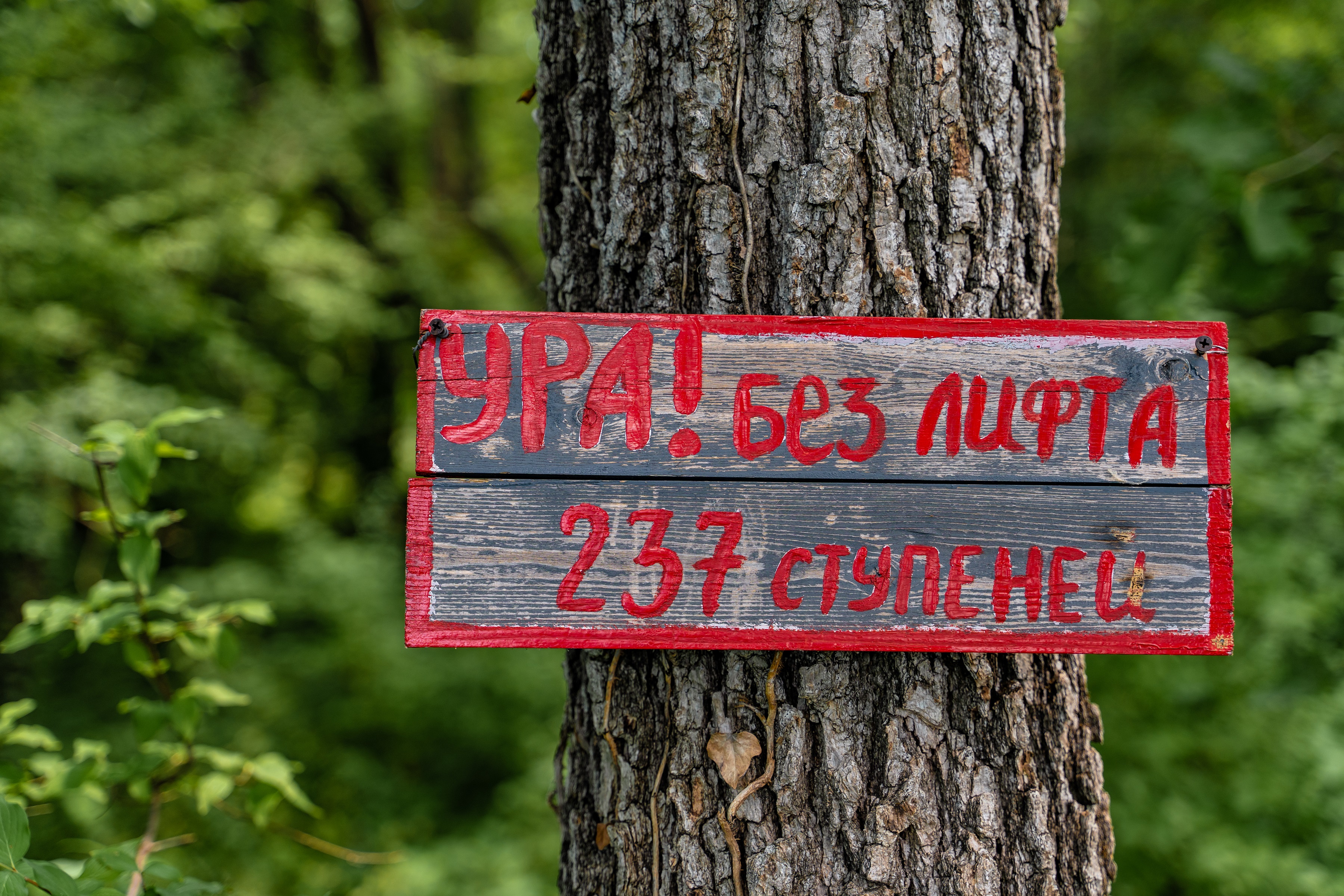 Green Wood отель