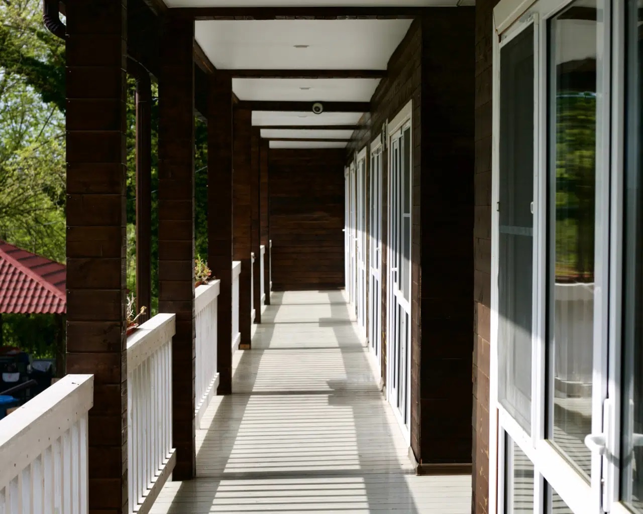 Lion(Алахадзы)