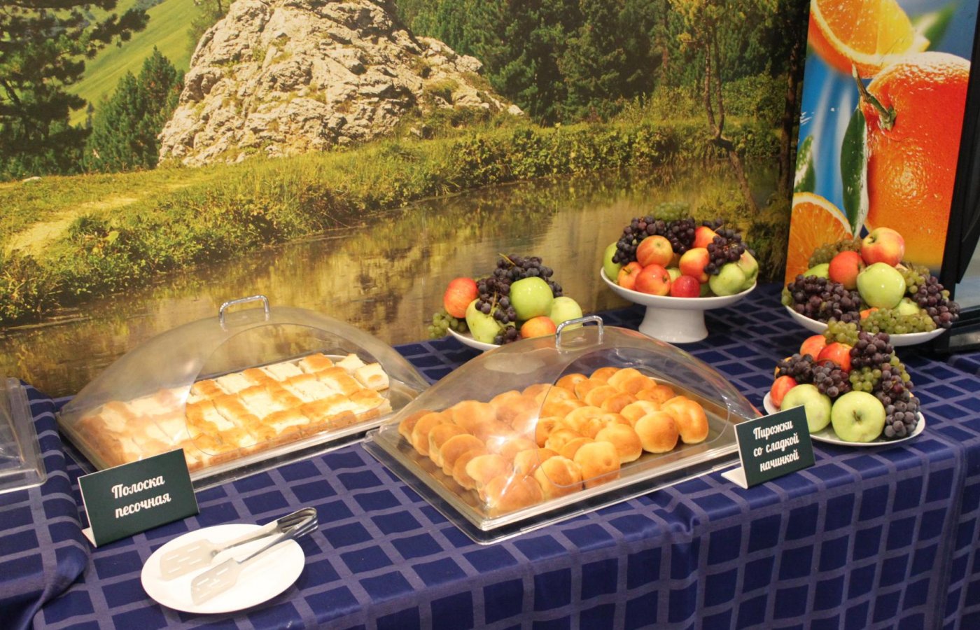 Зал Гостиная у камина (шведская линия)