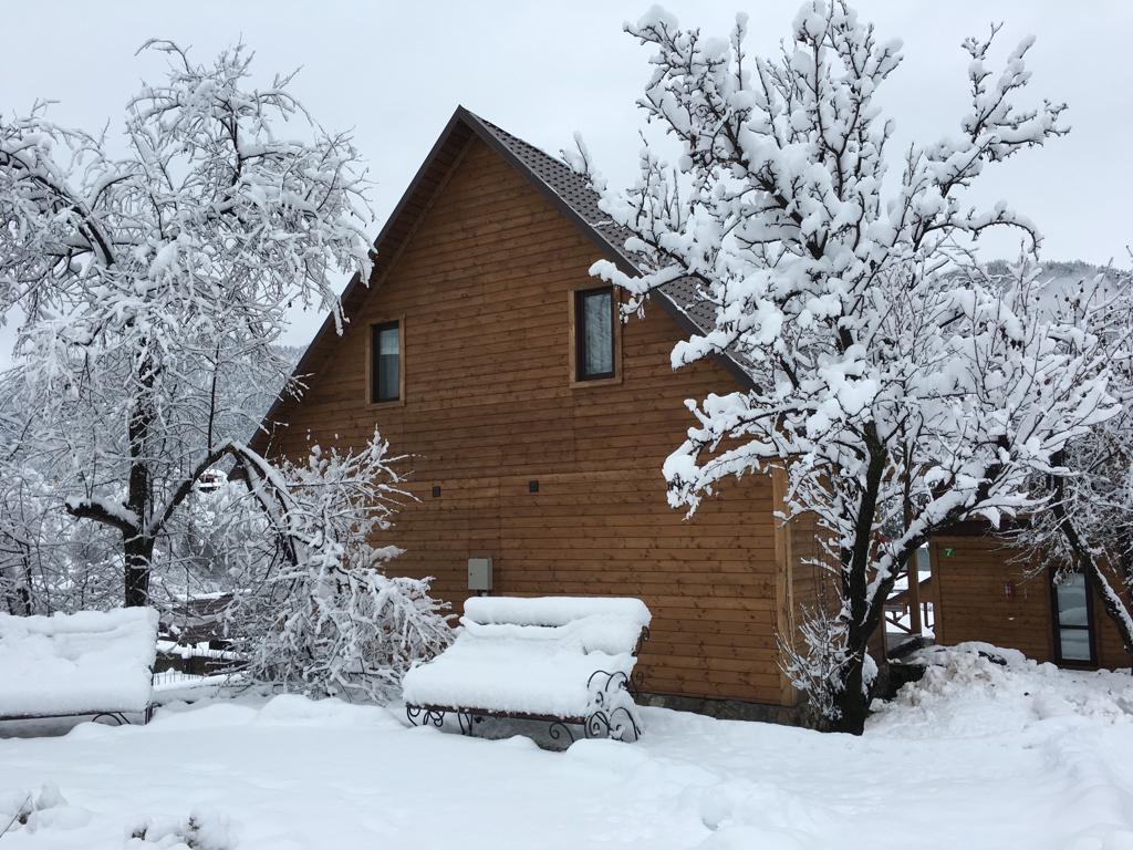 Дежавю (Чемал)