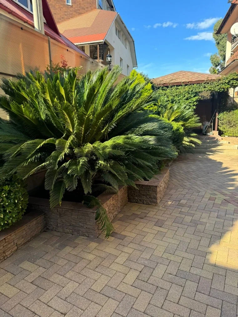 Фото 6