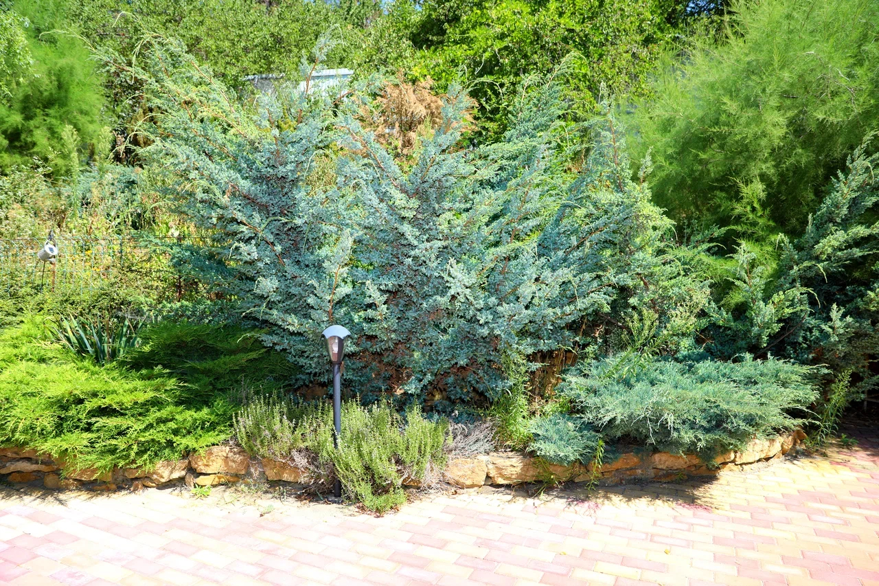 Территория