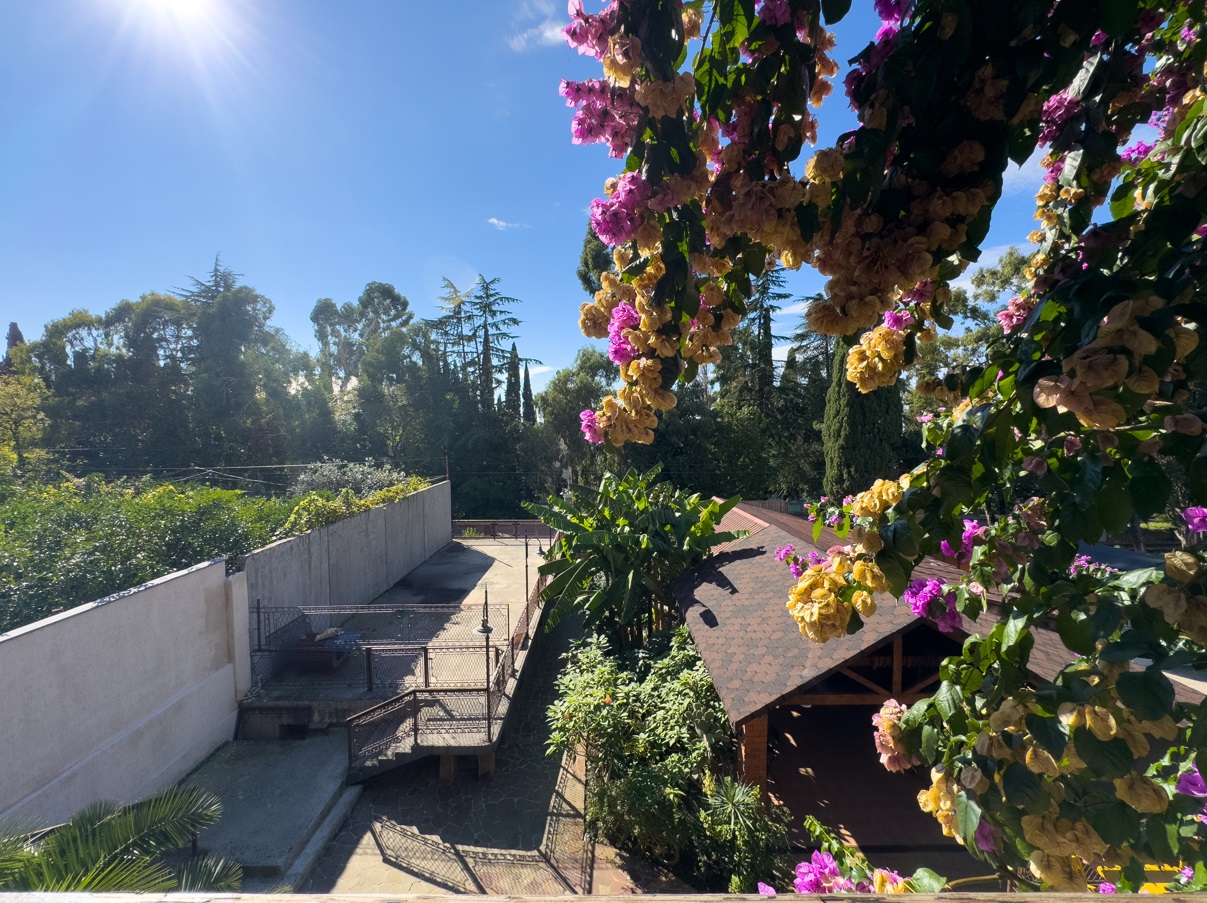 Территория