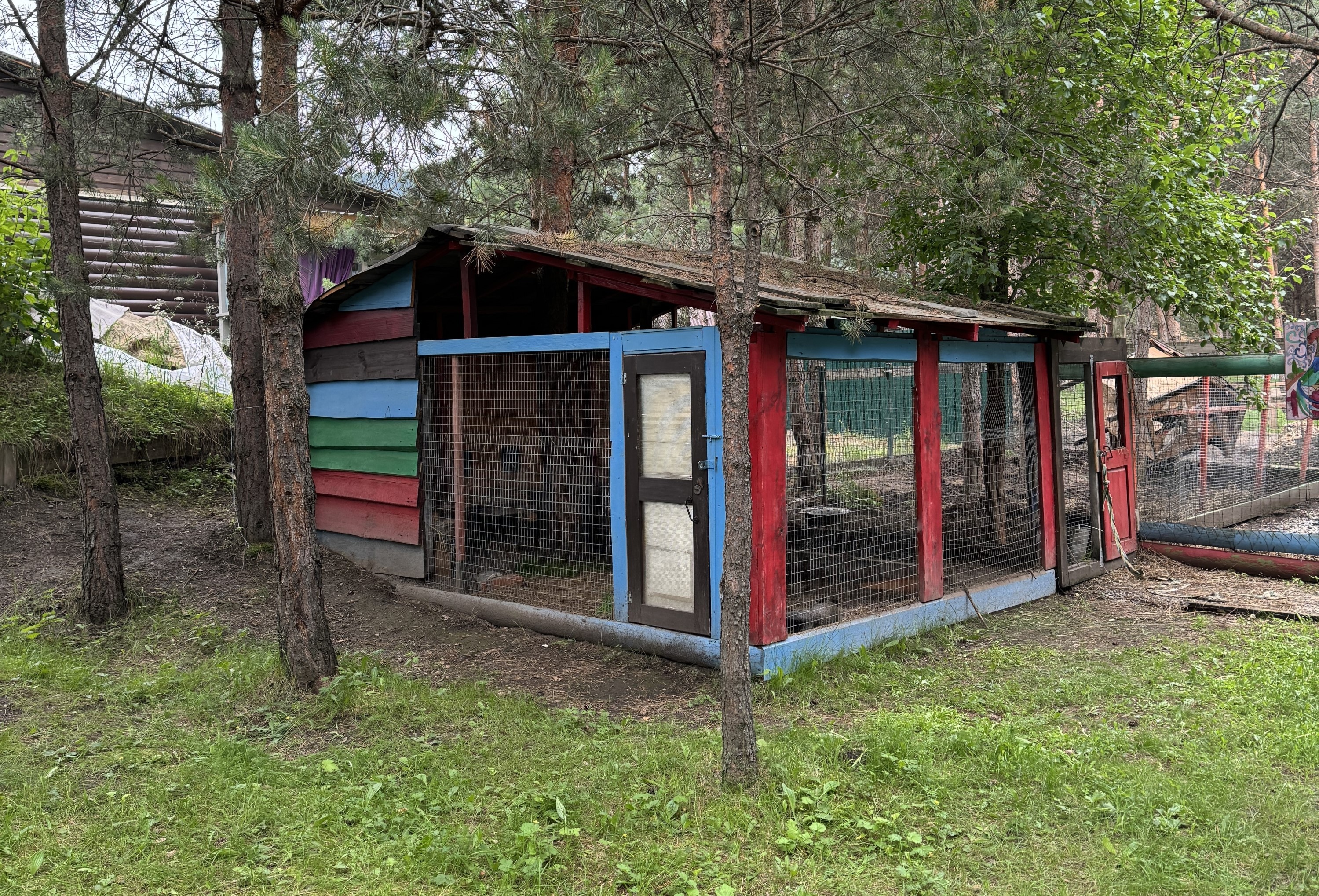 Росстань (Алтай)