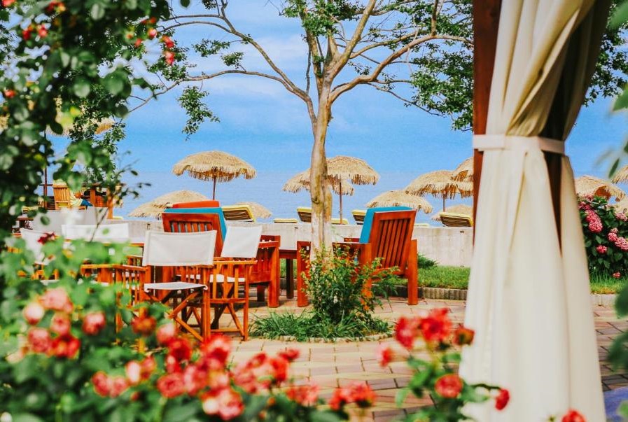 Dreamland Oasis Chakvi