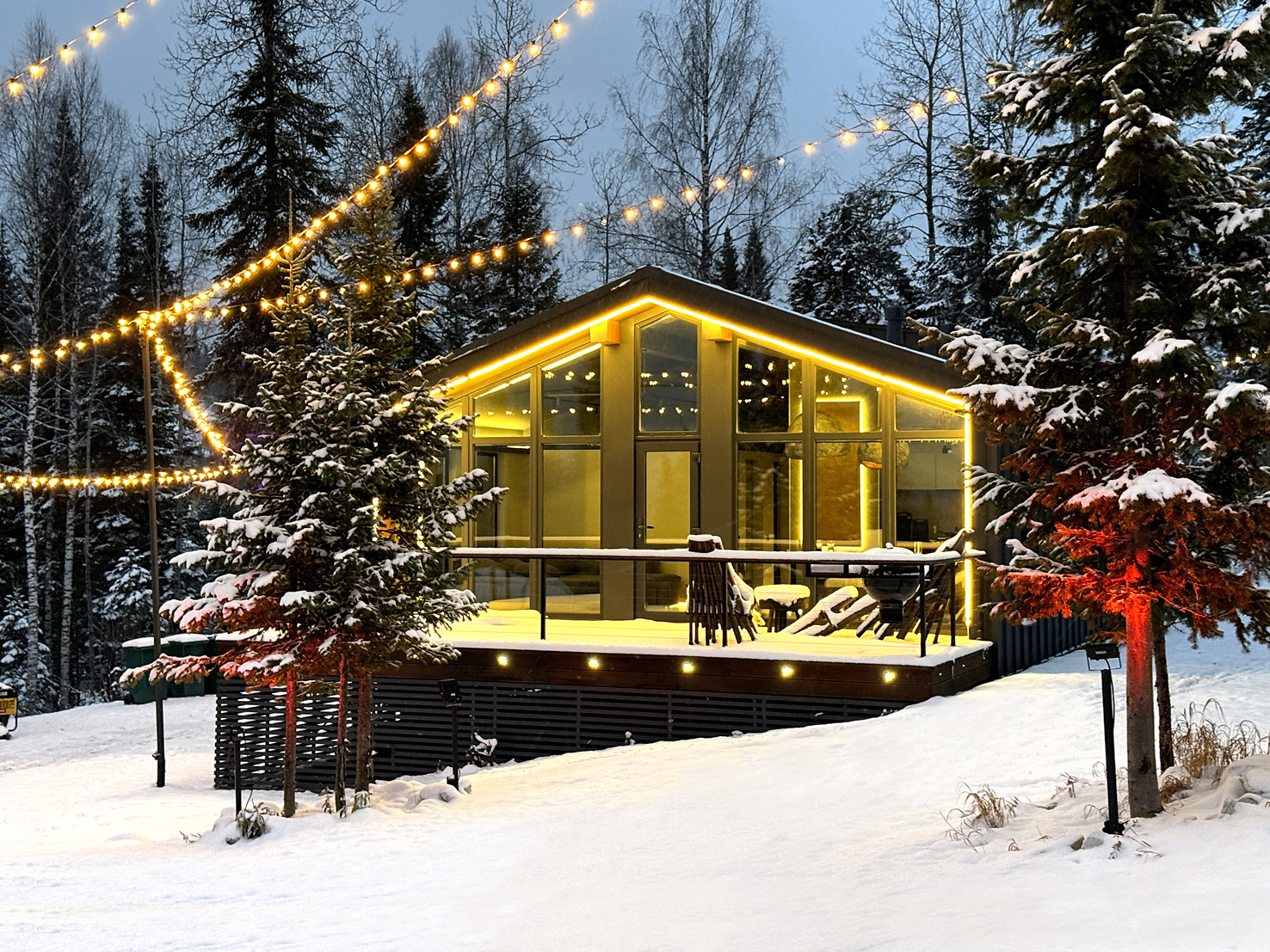 Внешний вид