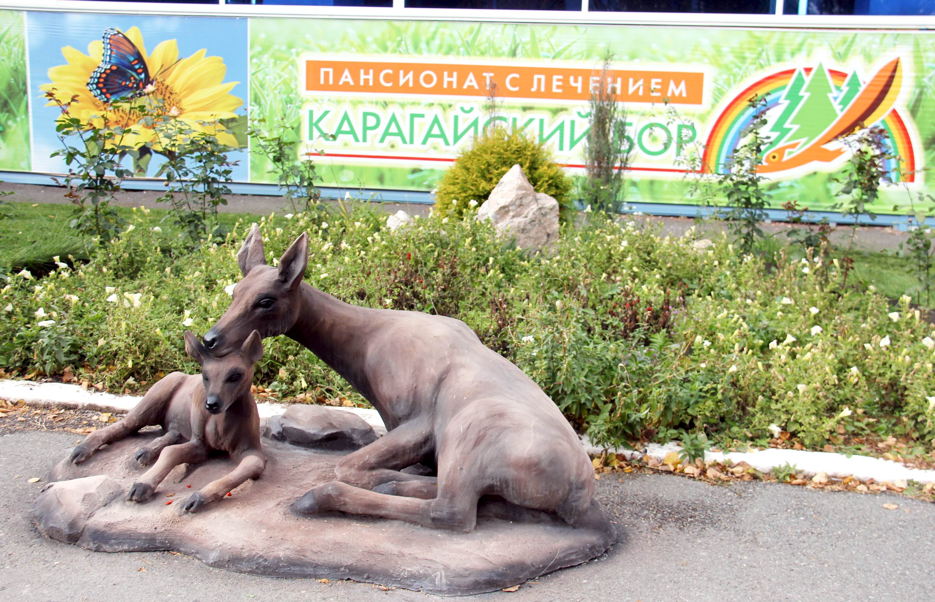 Карагайский бор