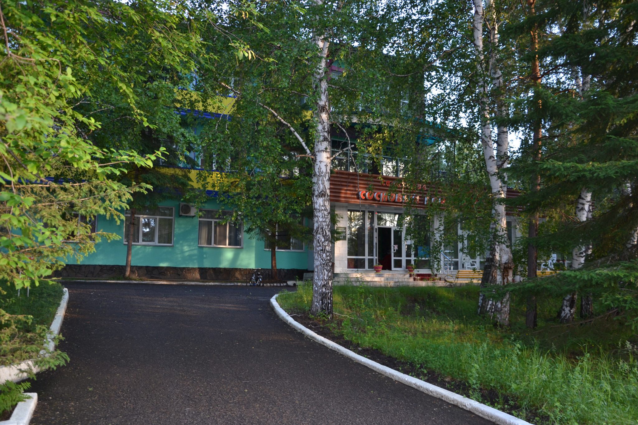 Сосновый бор (Красноярск)