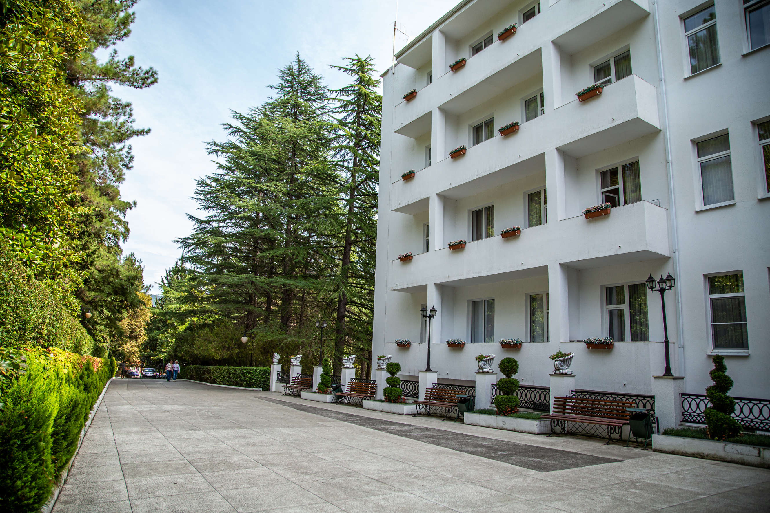 Внешний вид, территория