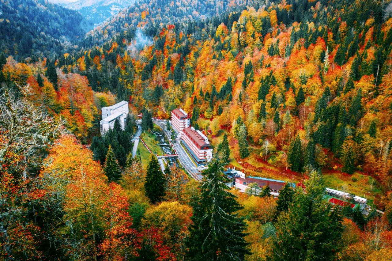 Sairme Hotels & Resorts