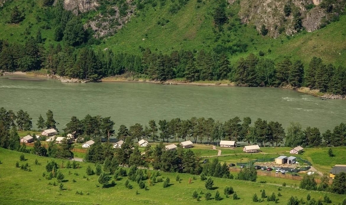 Айвенго (Алтай)