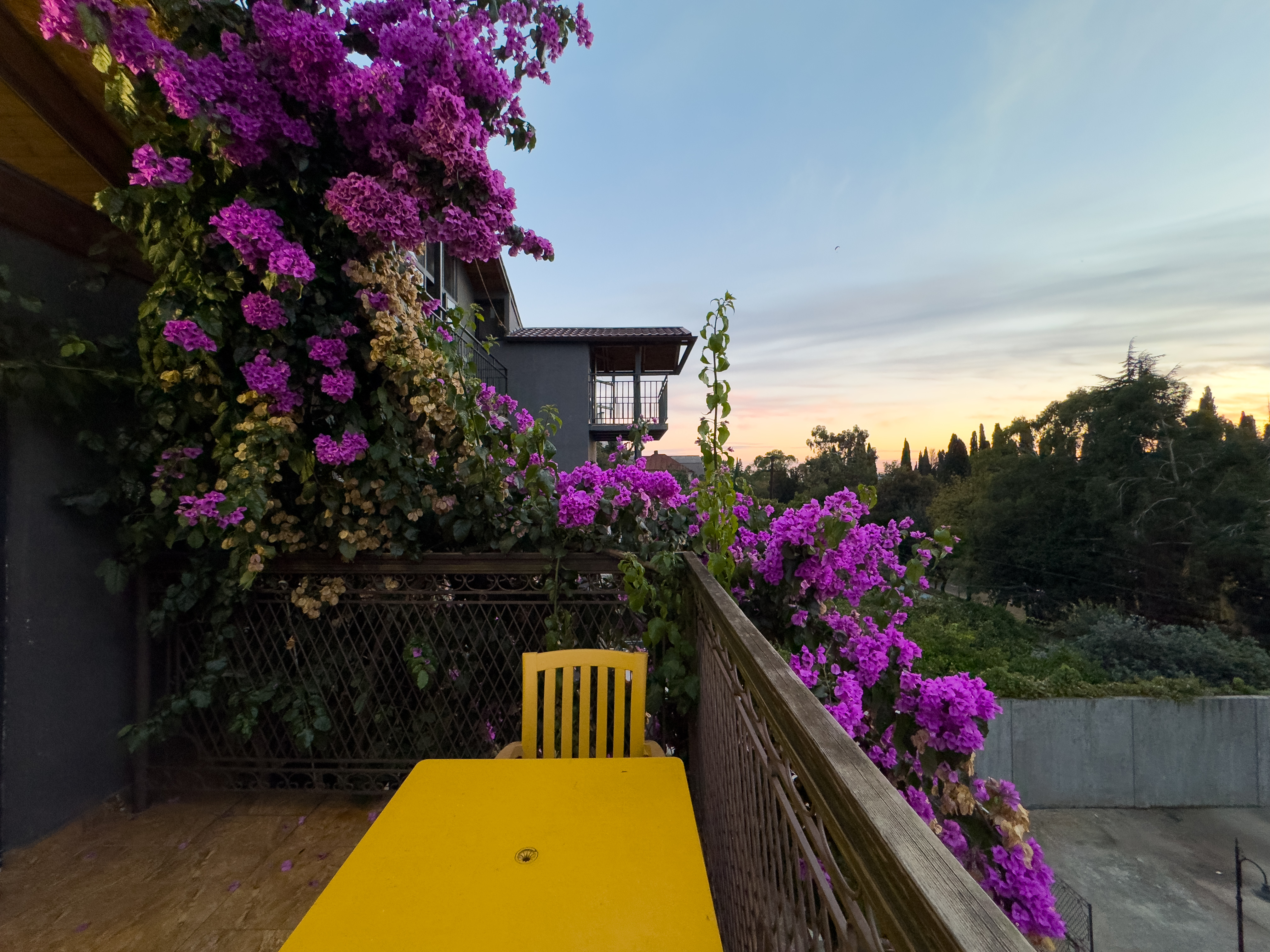 Территория