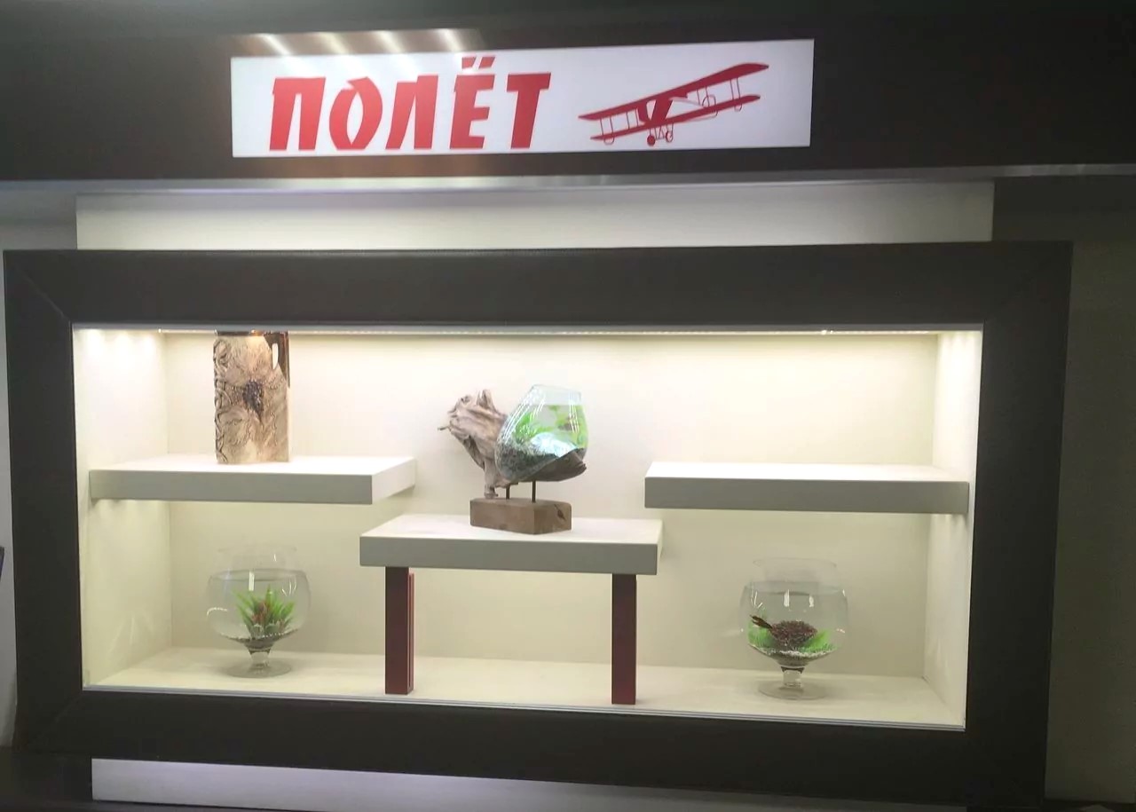 Полет (Богучаны)