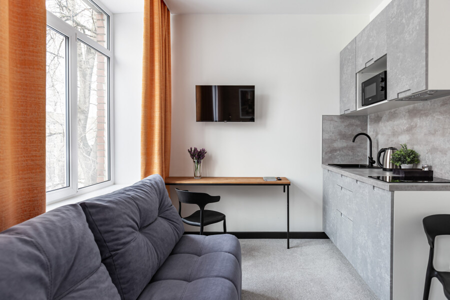 Студио 2-местный (TWIN + диван с мини-кухней)