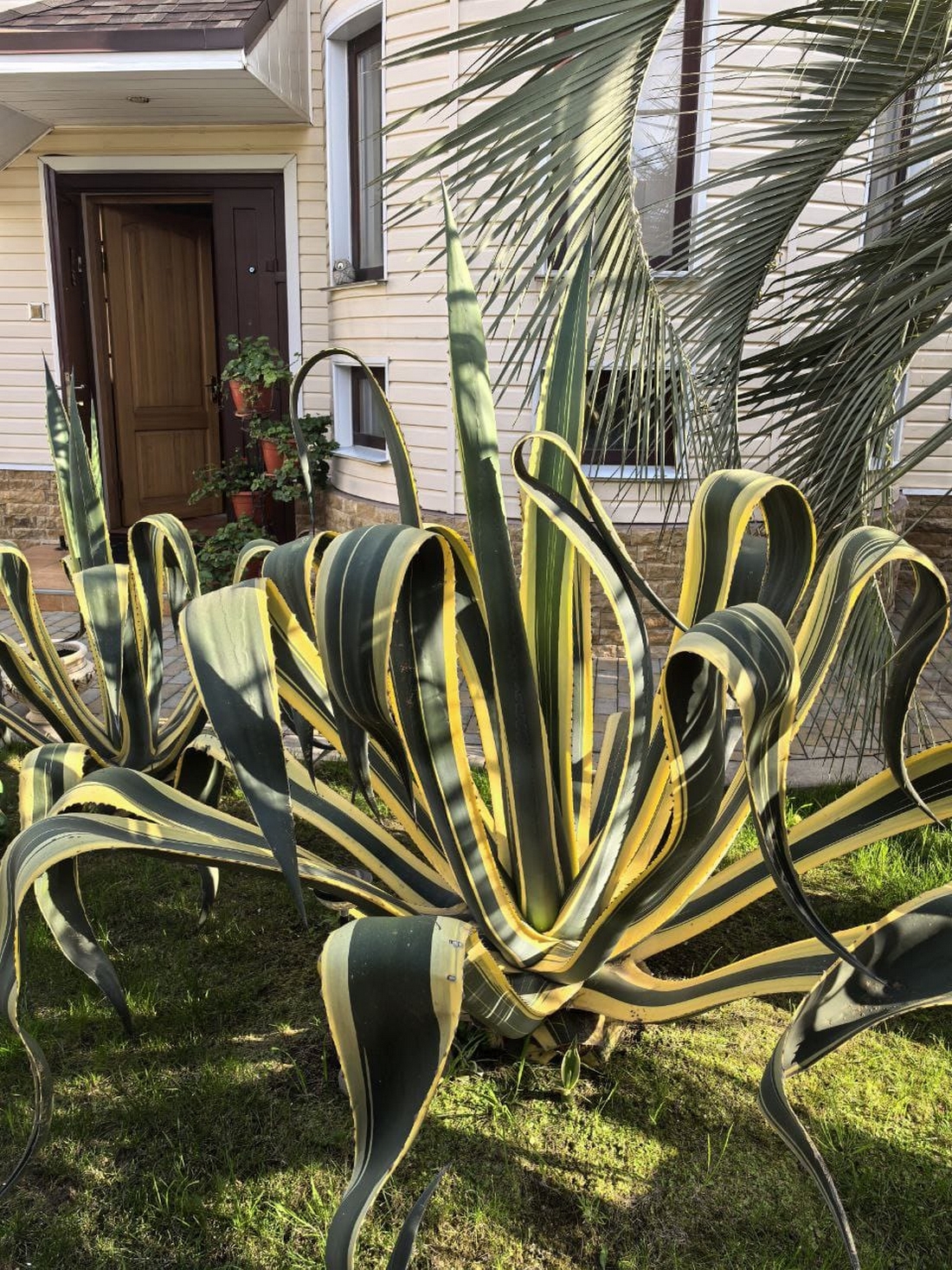 Фото 4