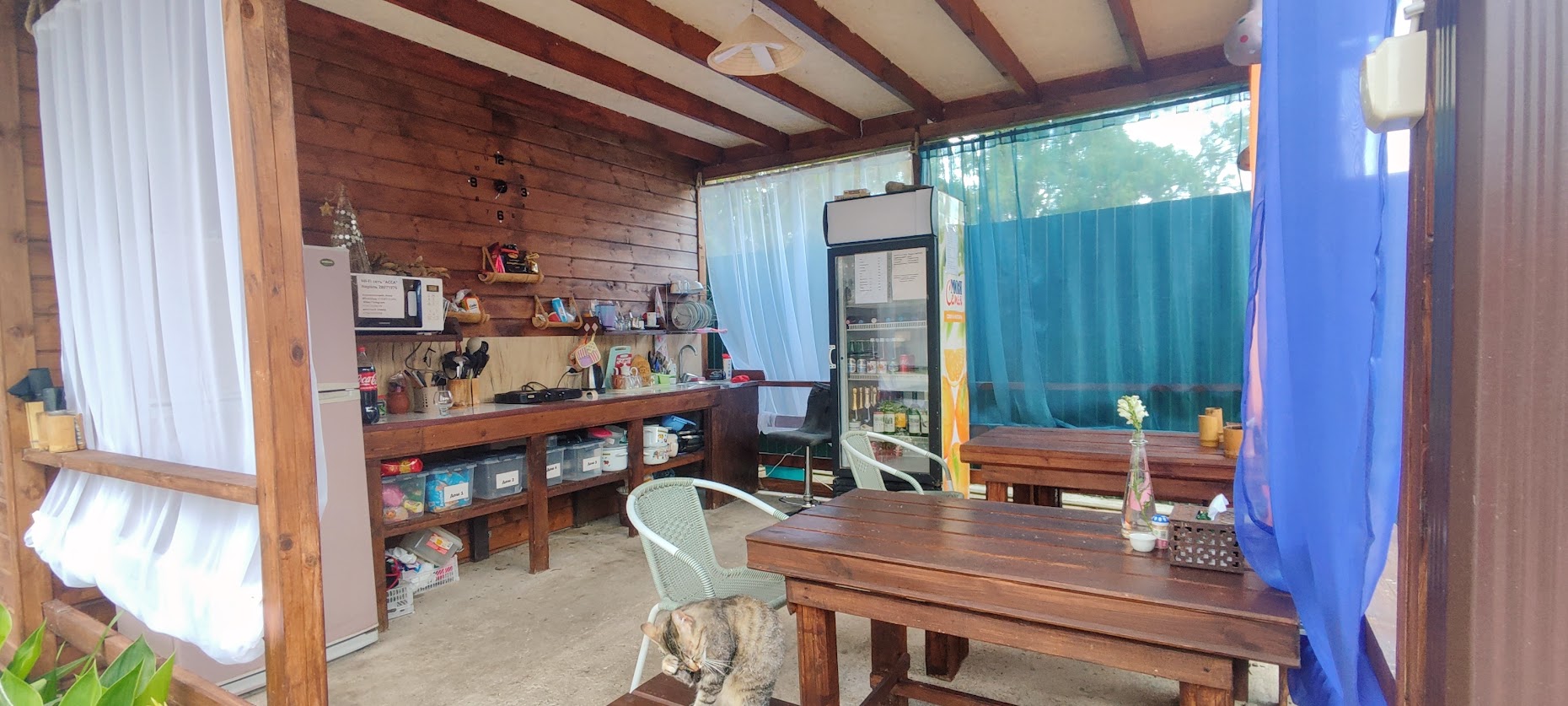 Асса (Пицунда)