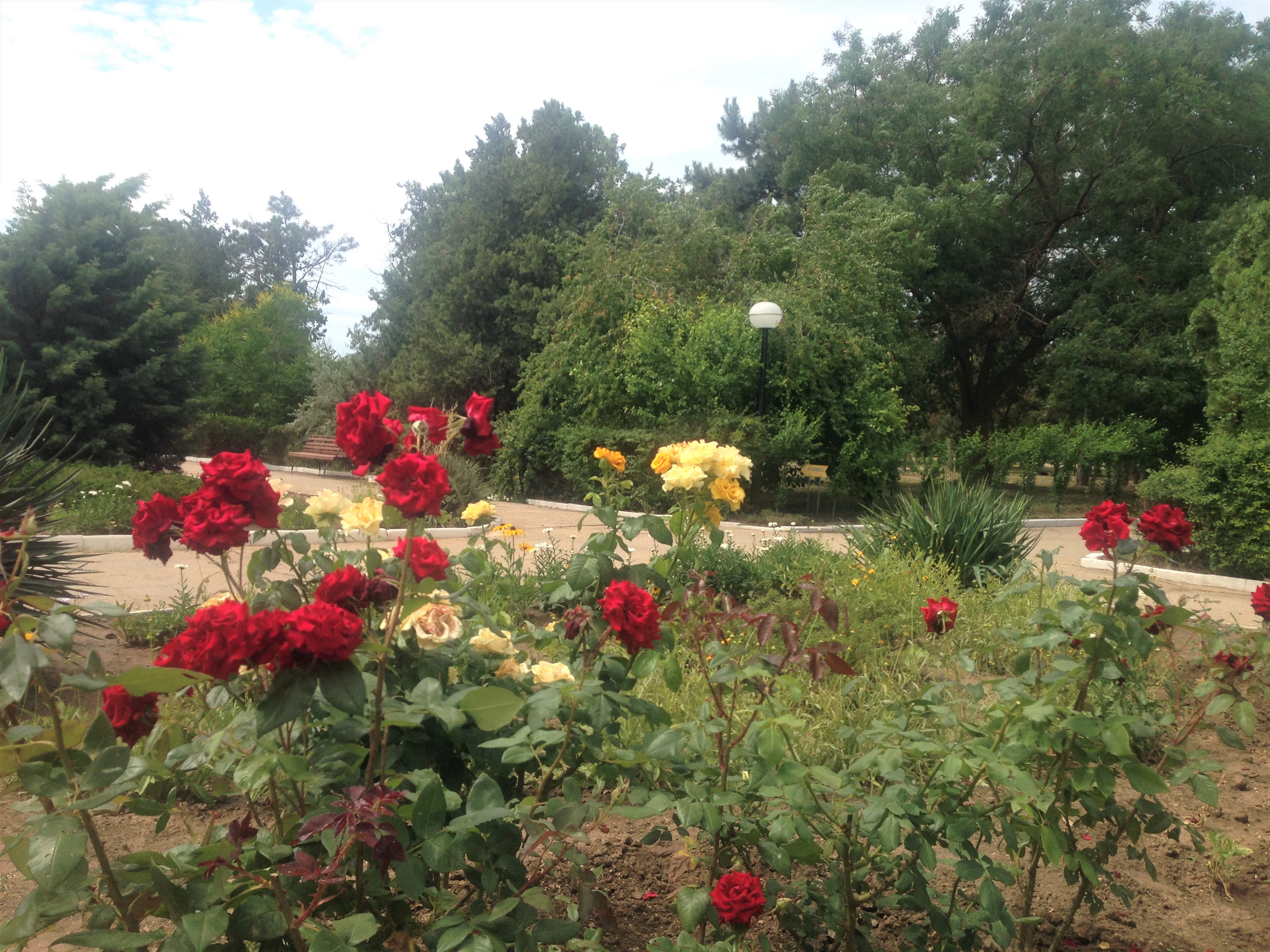 207c4770a9c05ddce0bd895eb9f3a3c1 крым санаторий маяк телефон