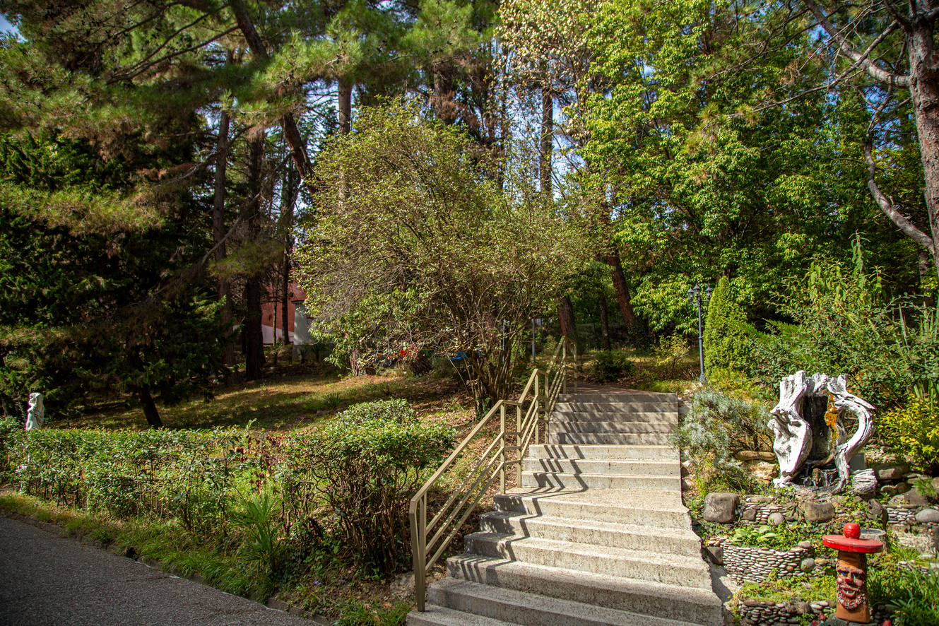 Территория