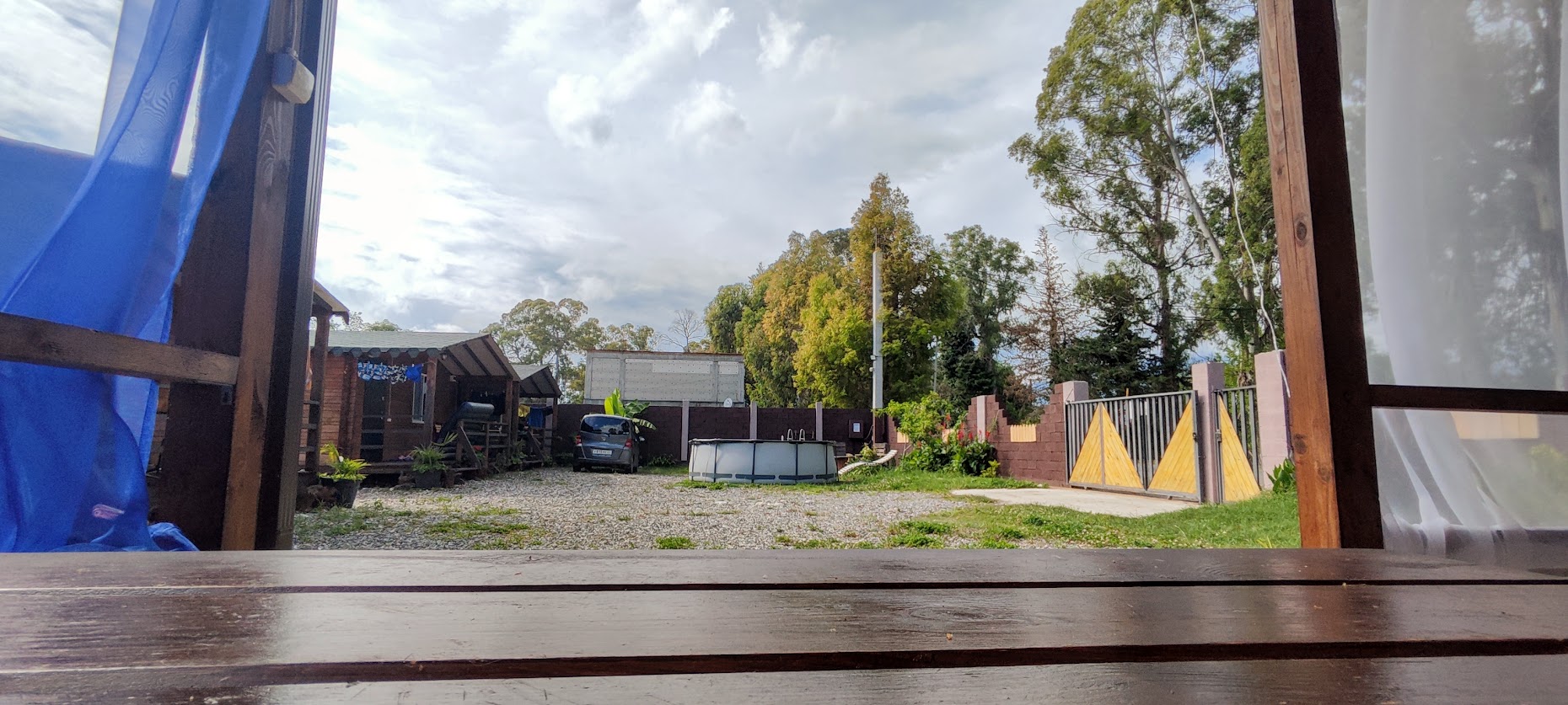 Асса (Пицунда)