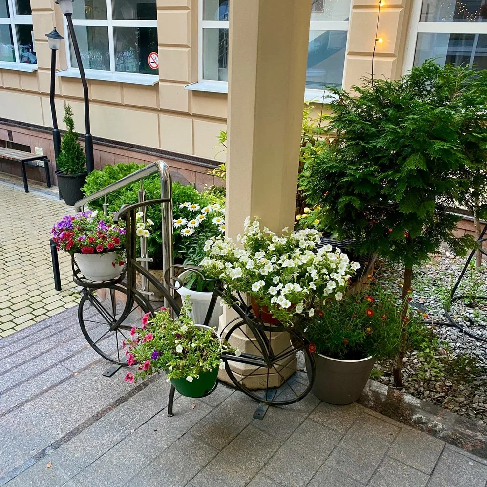 Входная группа