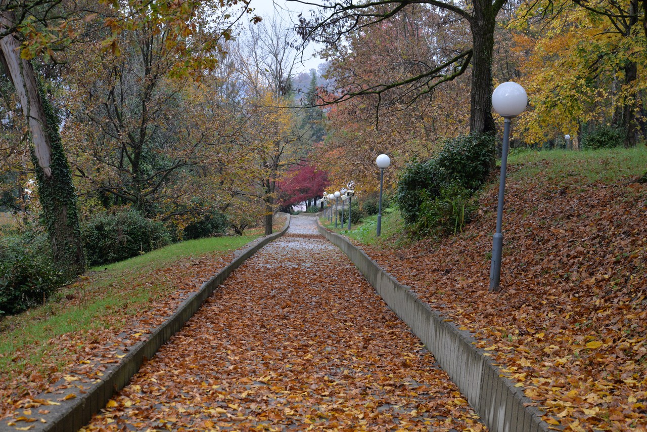 Территория осенью