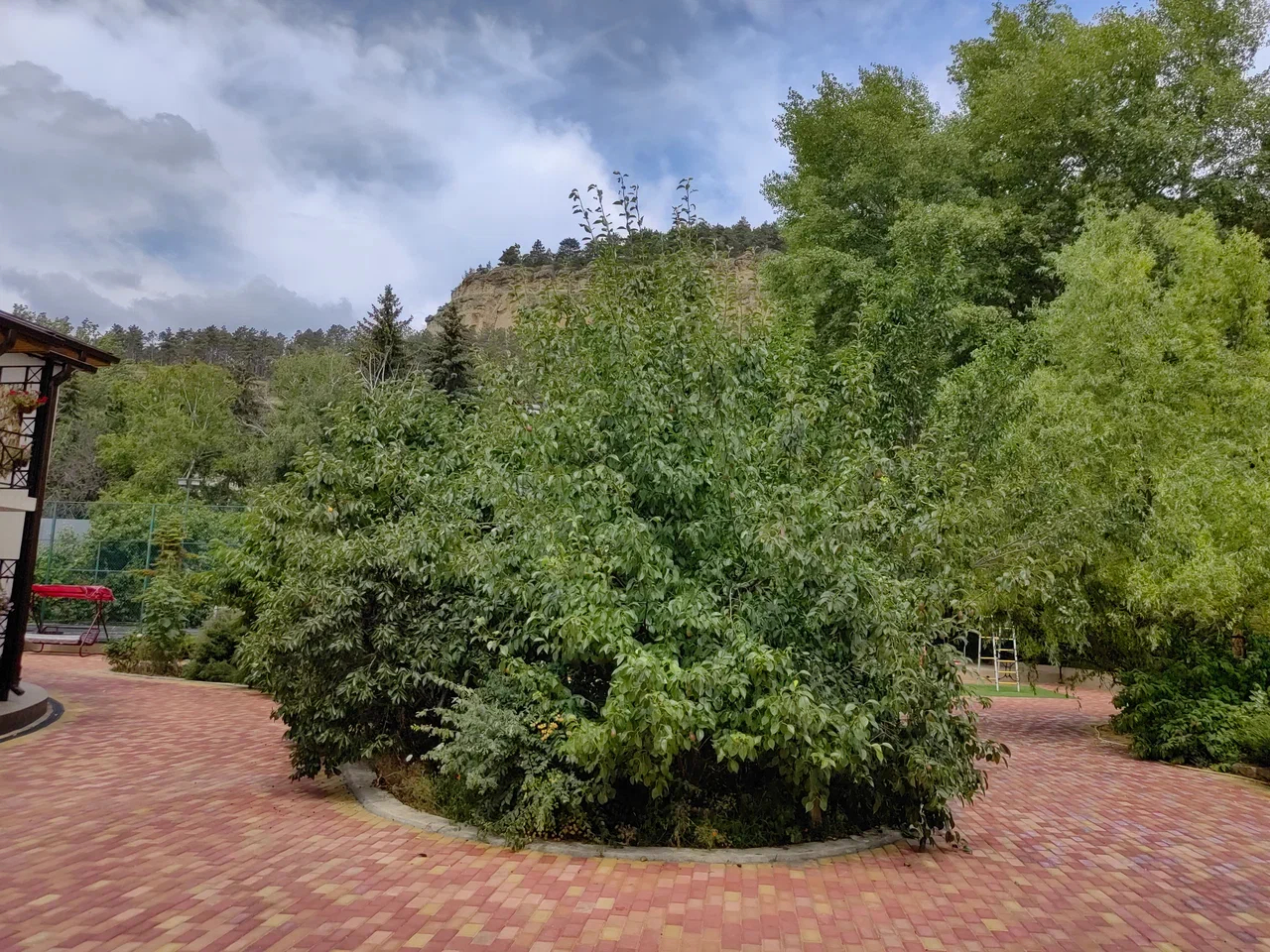 Территория