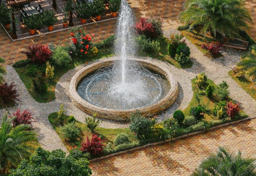 Dreamland Oasis Chakvi