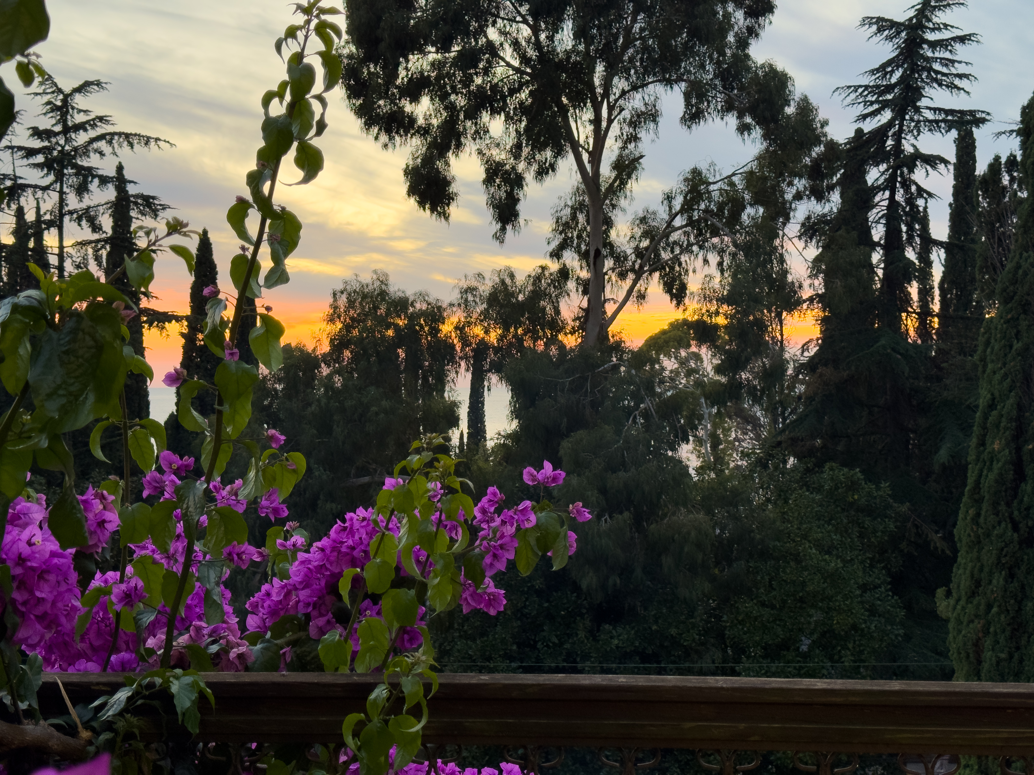 Территория